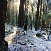 Cypress Falls photo