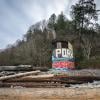 Foreshore Trail photo