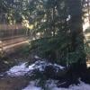 Brothers Creek Loop photo
