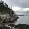 Lighthouse Park photo