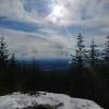 UBC Malcolm Knapp Research Forest photo