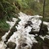 Big Cedar and Kennedy Falls Trail photo