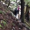 Big Cedar and Kennedy Falls Trail photo