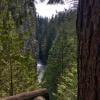 Capilano Pacific Trail photo