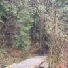 Mundy Park photo