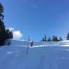 Hollyburn Mountain photo