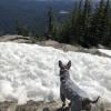 Lynn Peak photo