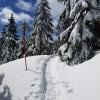 Eagle Bluffs photo