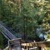Baden Powell Deep Cove to Lynn Canyon photo