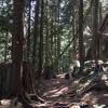 Big Cedar and Kennedy Falls Trail photo