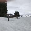 Elfin Lakes photo