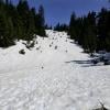 Hollyburn Mountain photo