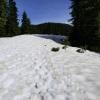 Hollyburn Mountain photo
