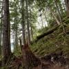 Crooked Falls photo