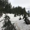 St Mark's Summit photo