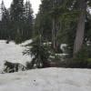 Eagle Bluffs photo