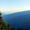 Dog Mountain photo