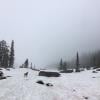 Brandywine Meadows photo