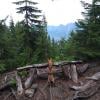 Hollyburn Mountain photo