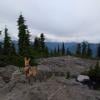 Hollyburn Mountain photo