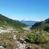 Brandywine Meadows photo