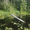 Brothers Creek Loop photo