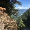 Crooked Falls photo