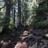 Dog Mountain photo