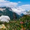 Elfin Lakes photo