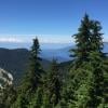 Hollyburn Mountain photo