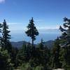 Hollyburn Mountain photo