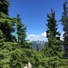 Hollyburn Mountain photo