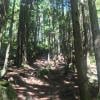 Cypress Falls photo