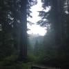 St Mark's Summit photo