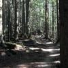 Lynn Peak photo