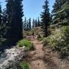 St Mark's Summit photo