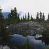 Hollyburn Mountain photo