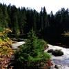 Eagle Bluffs photo