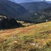 Mount Cheam photo