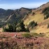 Mount Cheam photo