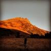 Mount Cheam photo