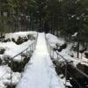 Whistler Train Wreck photo
