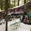 Whistler Train Wreck photo