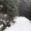 Bowen Lookout photo