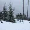 Bowen Lookout photo