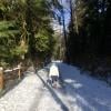 Norvan Falls photo