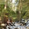 Lynn Peak photo