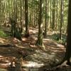 Baden Powell Lynn Canyon to Grouse photo