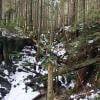 Baden Powell Lynn Canyon to Grouse photo
