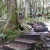 Baden Powell Lynn Canyon to Grouse photo